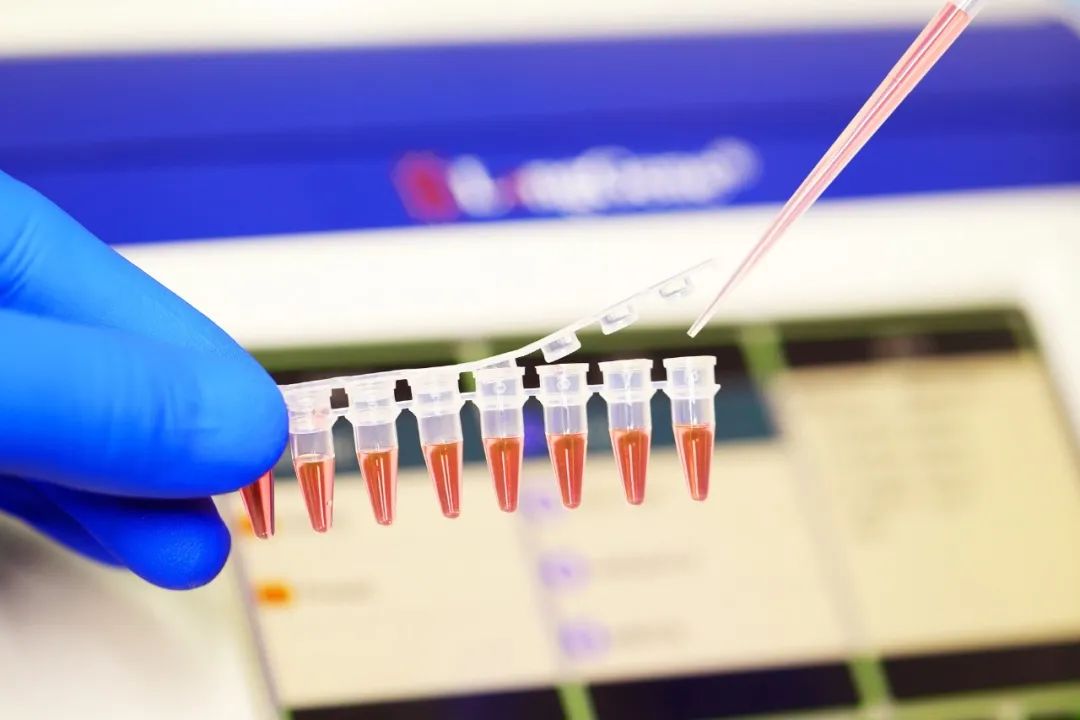 Ciamar a roghnaicheas tu stuthan consum PCR / qPCR?