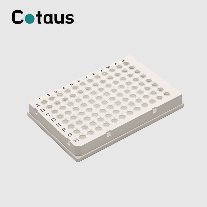 96 Uill 0.2ml Sgiort làn dath dùbailte PCR Plate